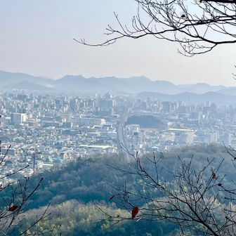 新幹線の線路🛤️
何台か通り過ぎていきましたー🚅
