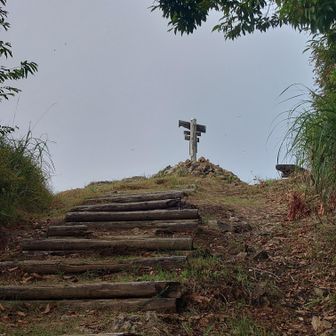 山頂が見えてきた