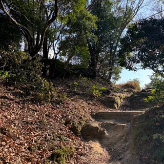 少し進むと山頂な雰囲気？