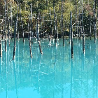 あざみ野マーク