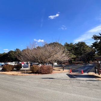 ここが1番奥？の本栖湖キャンプ駐車場