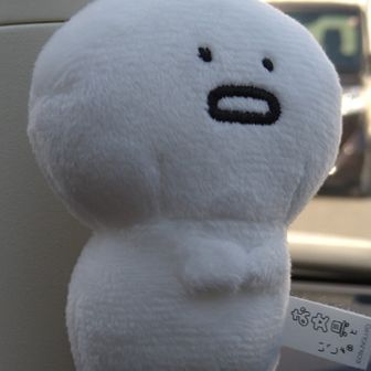 😺ホワイト🐾