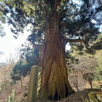 山で　
充分に　充電したいですね