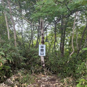 樹林帯と笹藪を歩くのでめっちゃ暑い。

しかし草刈りしてもらっててありがたい