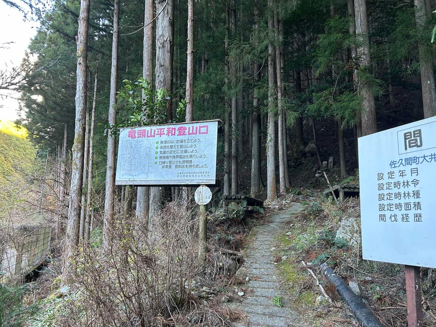 戻って来れた