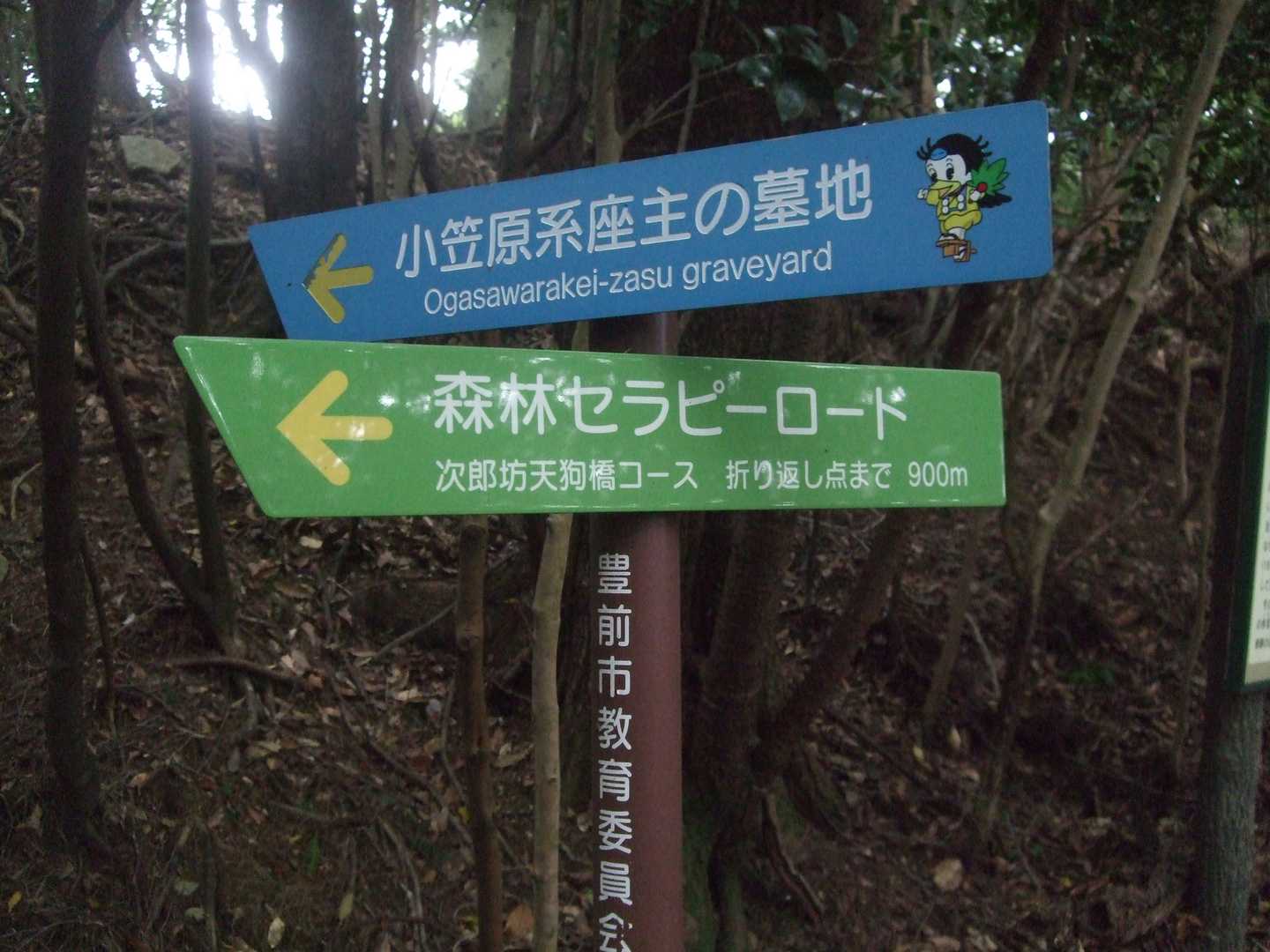 再びセラピーロードを通って駐車場へ。眺望はありませんが快適でした。