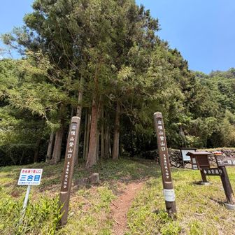 げっざーん
距離獲得の割には満足度の高い山でした。