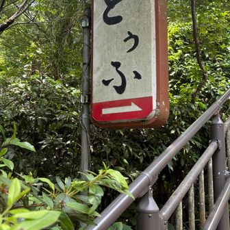 すっかり性地に