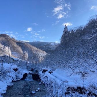 朝のうちは雨との予報だったので、ゆっくりスタート▶️
さすがは利賀、スタートからしっかり雪ありスノーシューです