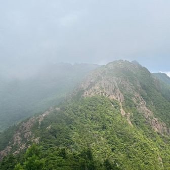 八巻山方面
ガスってますが、岩稜帯歩きしている人がみえました