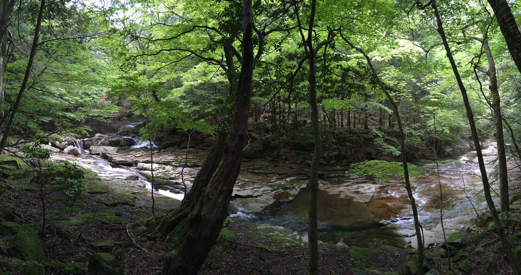 三本杭-御祝山 周回コースの写真