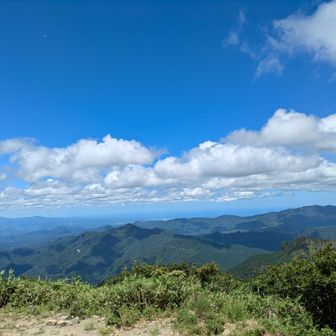 たぶん南、瀬戸内海や四国らしい影