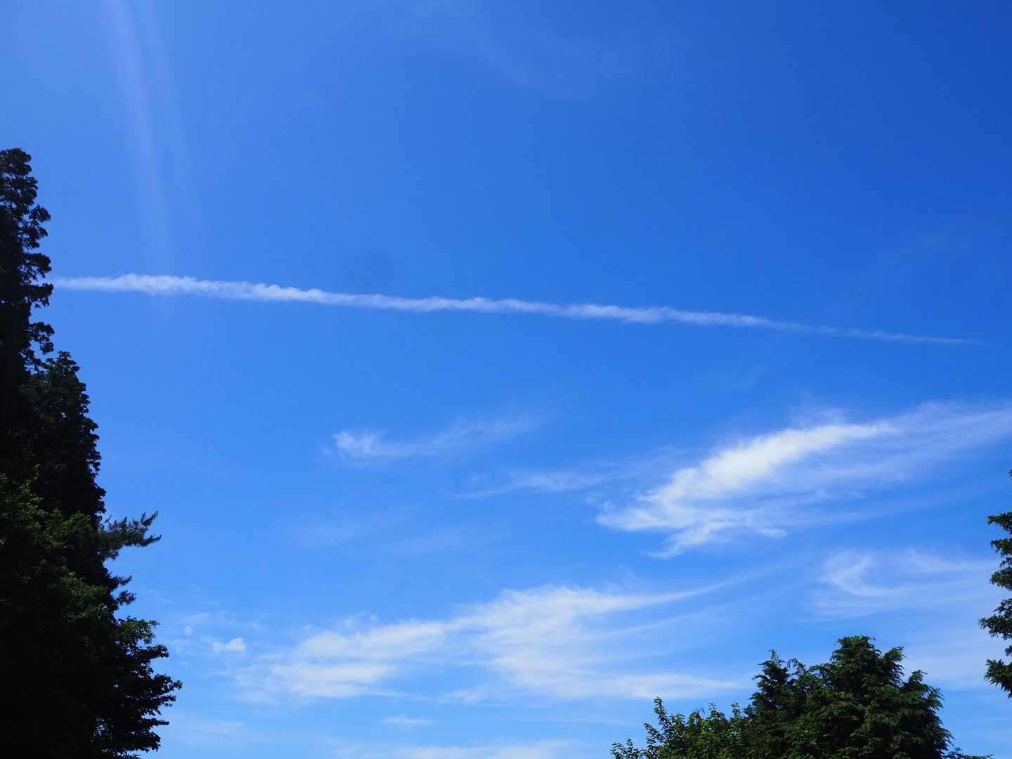 飛行機雲と本当にいいお天気〜☀️
梅雨の合間にヤマボウシ🤍

心地よいトレイルで癒されました♪
明日は超ロング勤務頑張れそうです。

ヤマボウシパトロール🤍バトン受け取りましたぁ〜

トミーの冒険⭐️ホワイトチョコチップを観にいこう❗️

おしまい。

続く