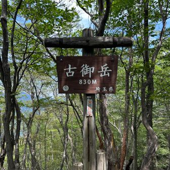 夢中に歩いていて、
標識しか撮れてないことに気づきました