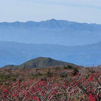 一旦、レストハウスで休憩🚻
外出たら真っ赤なナナカマド😍🔴