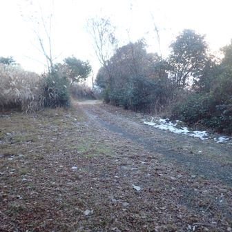 ここまでは車で来れそう