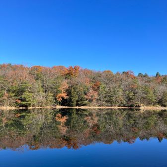 静ヶ池に到着
最高の青空とリフレクションの青が…素敵やん！
来て良かった😆