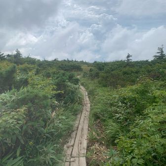 上毛無岱