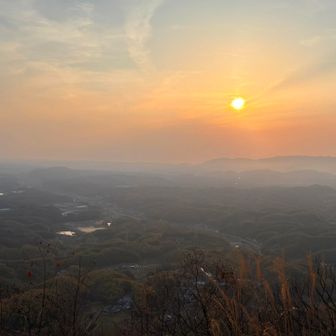 キレイな夕陽✨