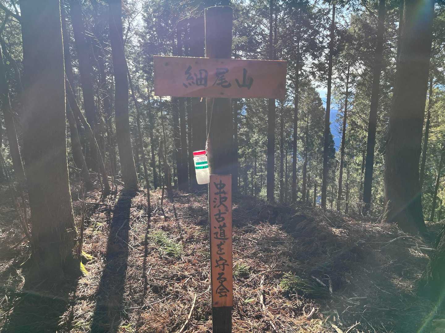高松山入口バス停-ビリ堂-高松山-フトウ山-桜丸-ダルマ沢 縦走コースの写真