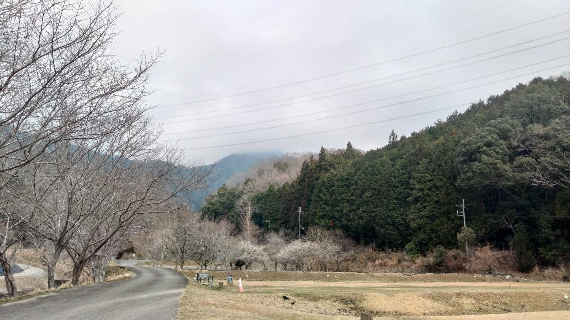 地蔵岳-明神山-大熊の頭-西の丸 周回コースの写真