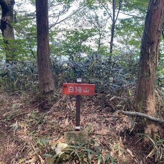 白猪山⛰️