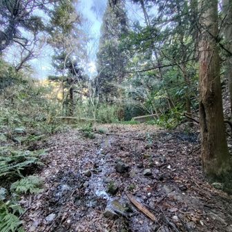 歩きやすいところもあり