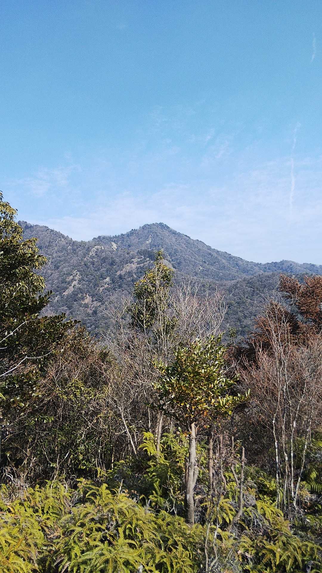 岩ヶ谷山からの展望。