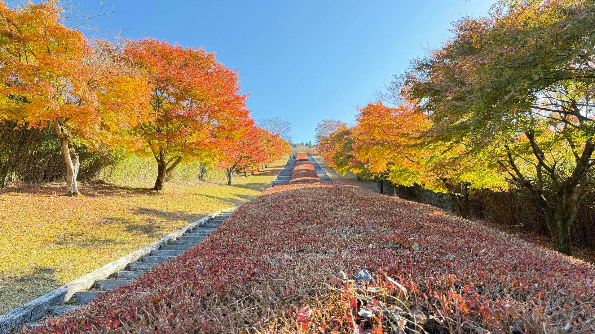 栗野岳第2峰-栗野岳 往復コースの写真