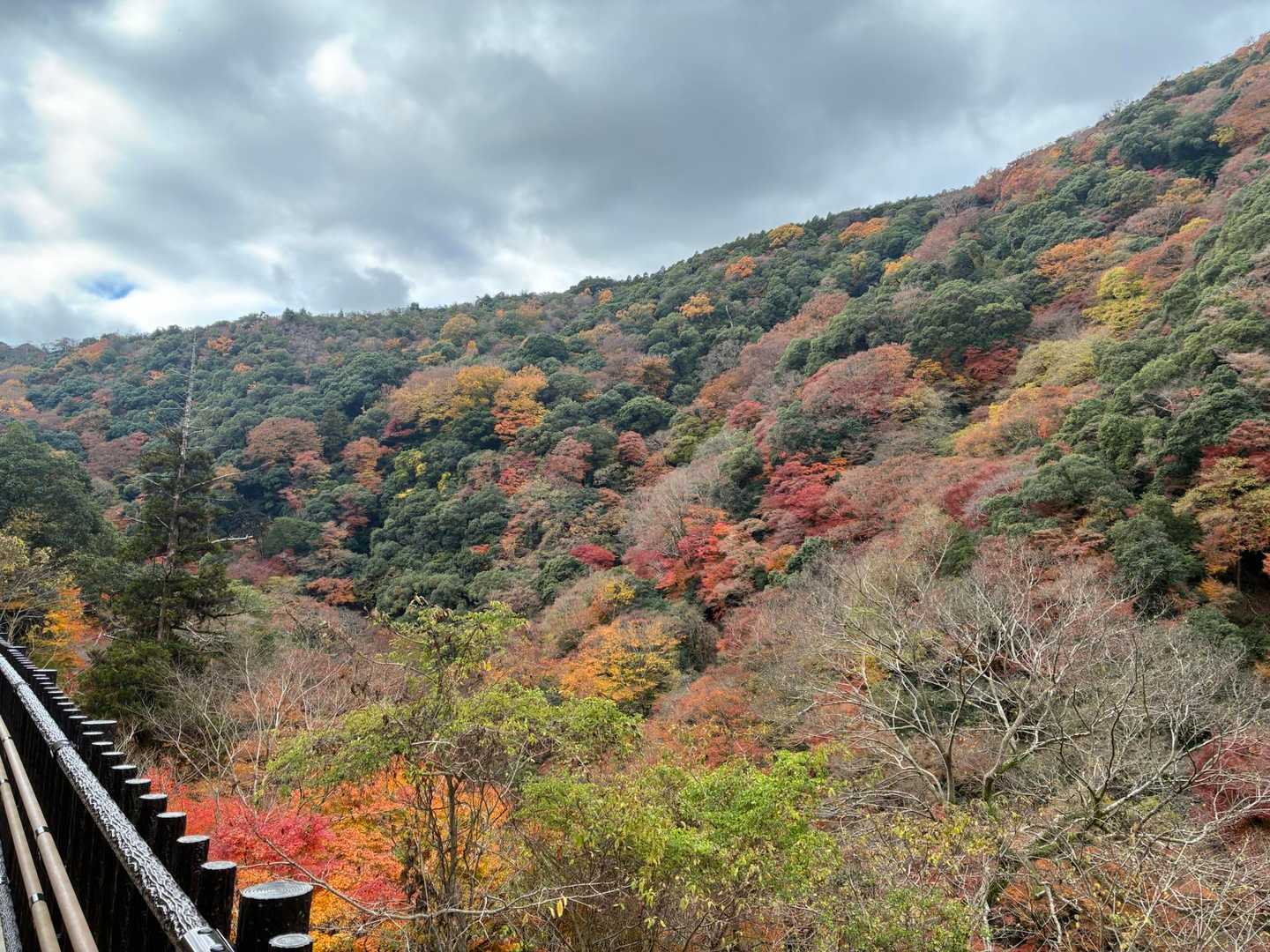 山のおもてなし｜箕面・東海自然歩道ハイキングの写真
