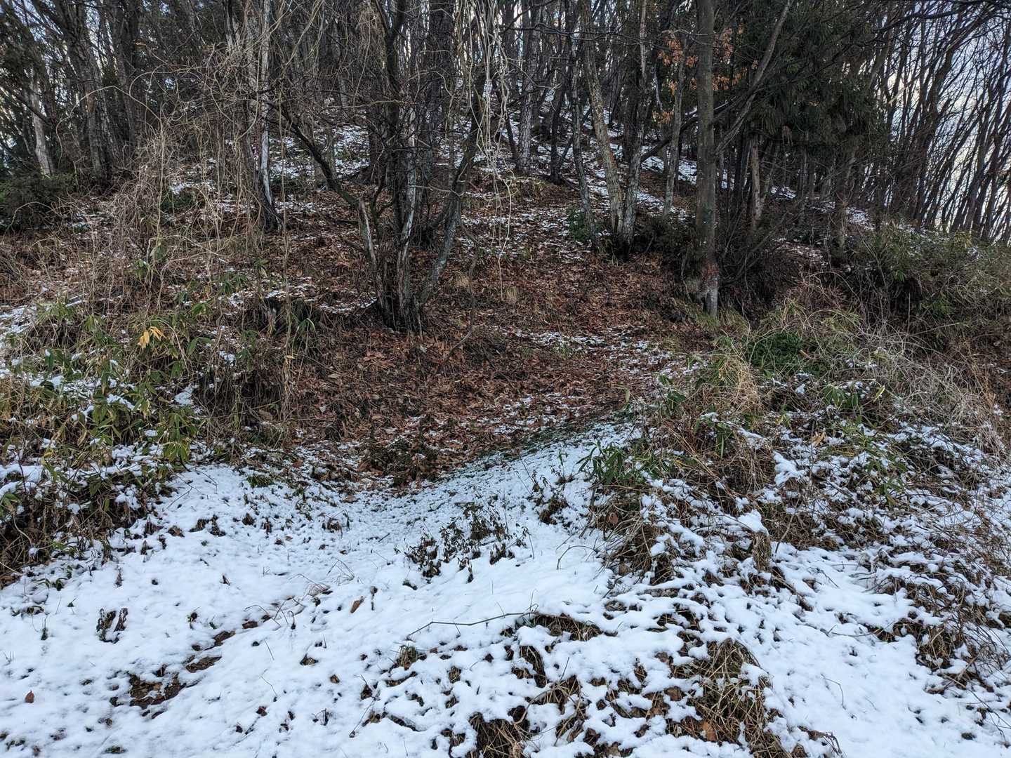 登山口に到着。急登がお待ちです。