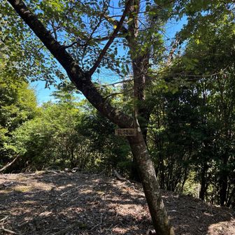 蔵持山山頂⛰️