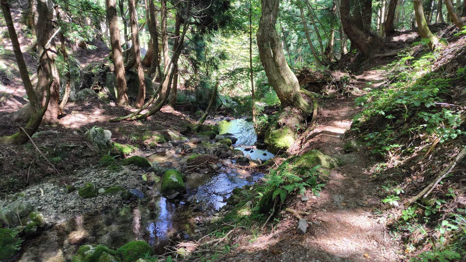 この辺りなんか綺麗で気持ちいいもんね、