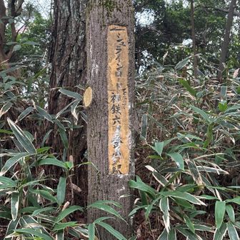 古い道標3。
神鉄六甲駅って昔は神鉄六甲登山口駅って名前だったの？
※後で調べたら1988年までは神鉄六甲登山口駅って駅名だったみたいです。
