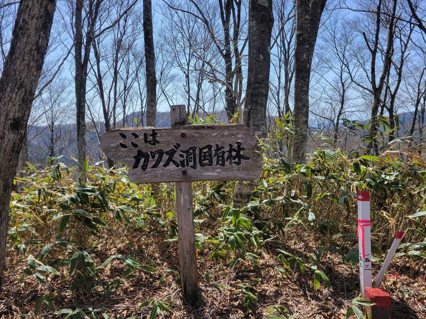 らしい