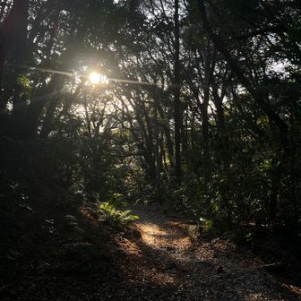 なんとか16時前に下山