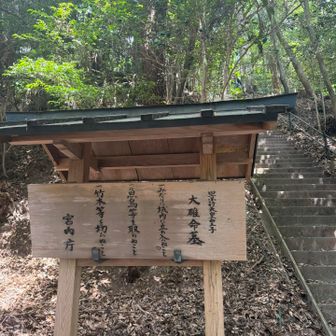 だそうです