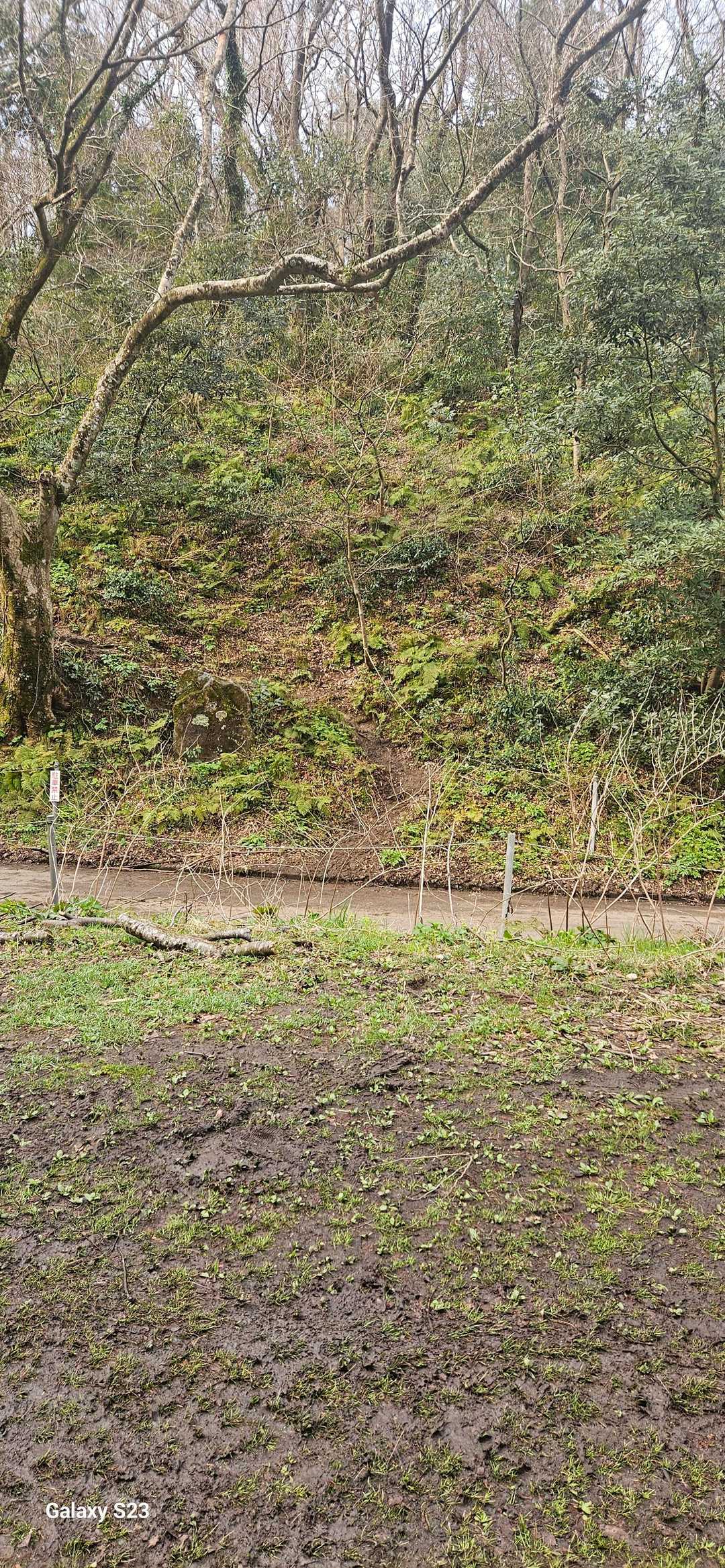 登山口スタート