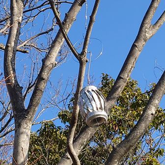 青空がキレイ！