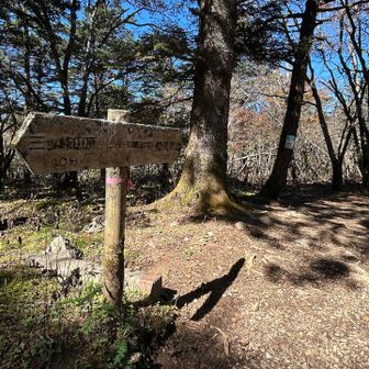 御巣鷹山の周回コースへ