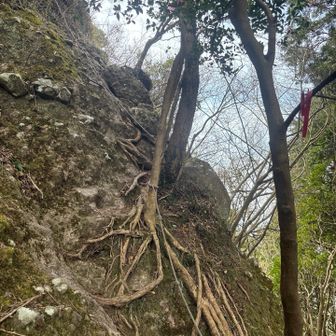この角度を登ります。
