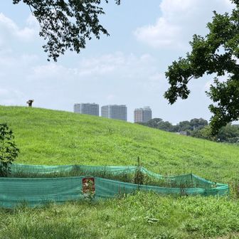 暑いのですぐに下山
早くも汗だくです💦
