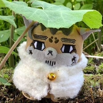 アニキ🌋火山好き