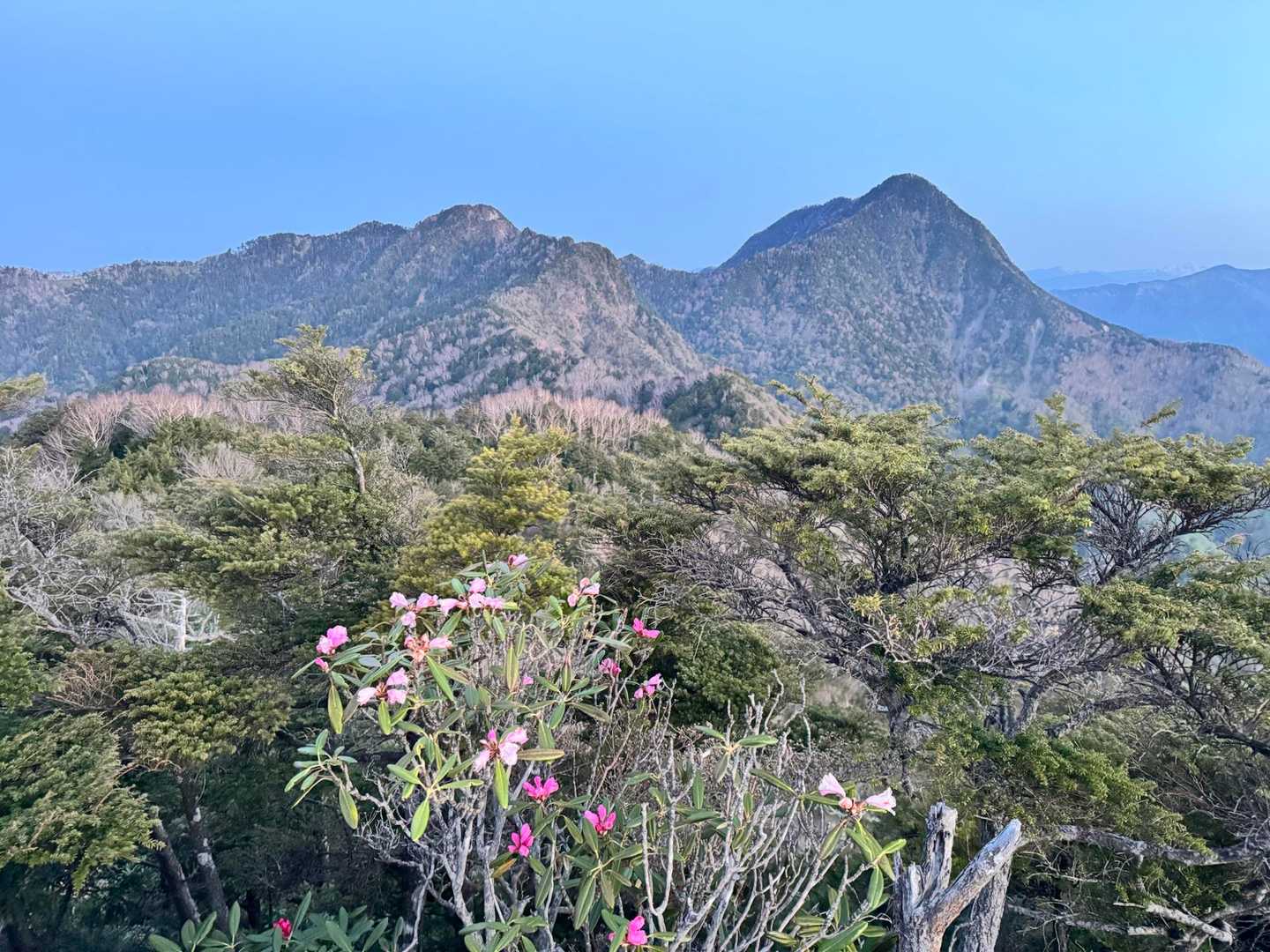 皇海山 眺望はないけれど庚申山・鋸山から見える山容が美しい