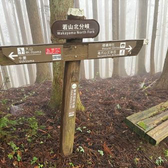 こちらも素通り。