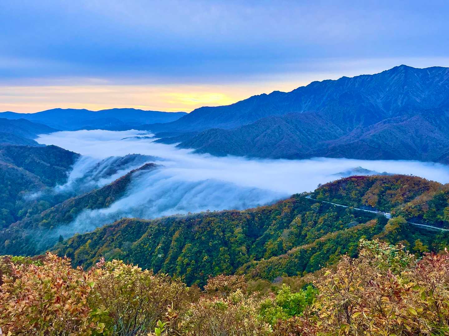 枝折峠-明神峠-道行山 往復コースの写真