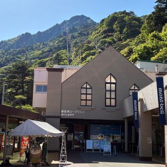 戻ってきました