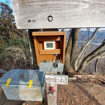 予定よりちょっと戻りが早かったのと気温は高め、風もほぼなし
