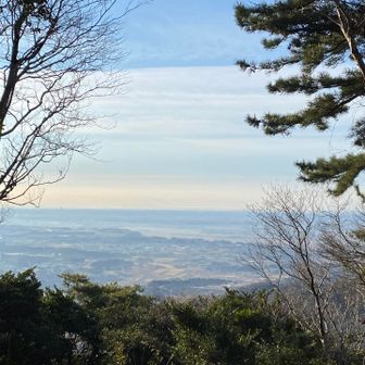 今日はぼやーっとしててそれが綺麗