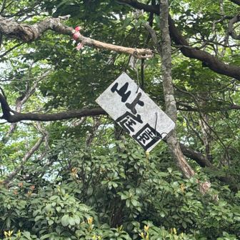 山上庭園に立ち寄りまほ、